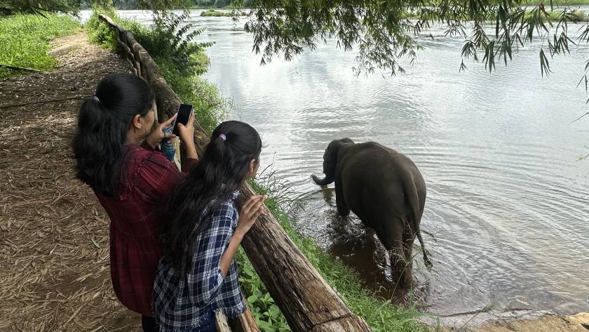 4062f13f02eac099e050b666783e10847c251f33