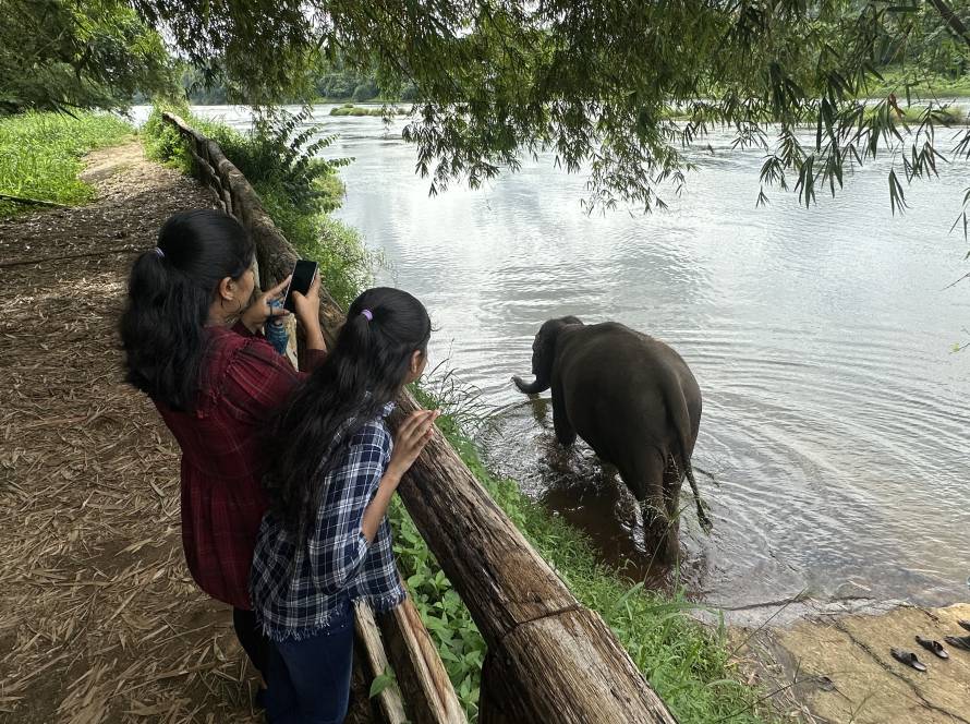 4062f13f02eac099e050b666783e10847c251f33