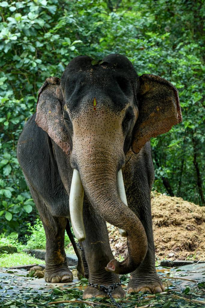 Copy of DSC_2732 hariprasad