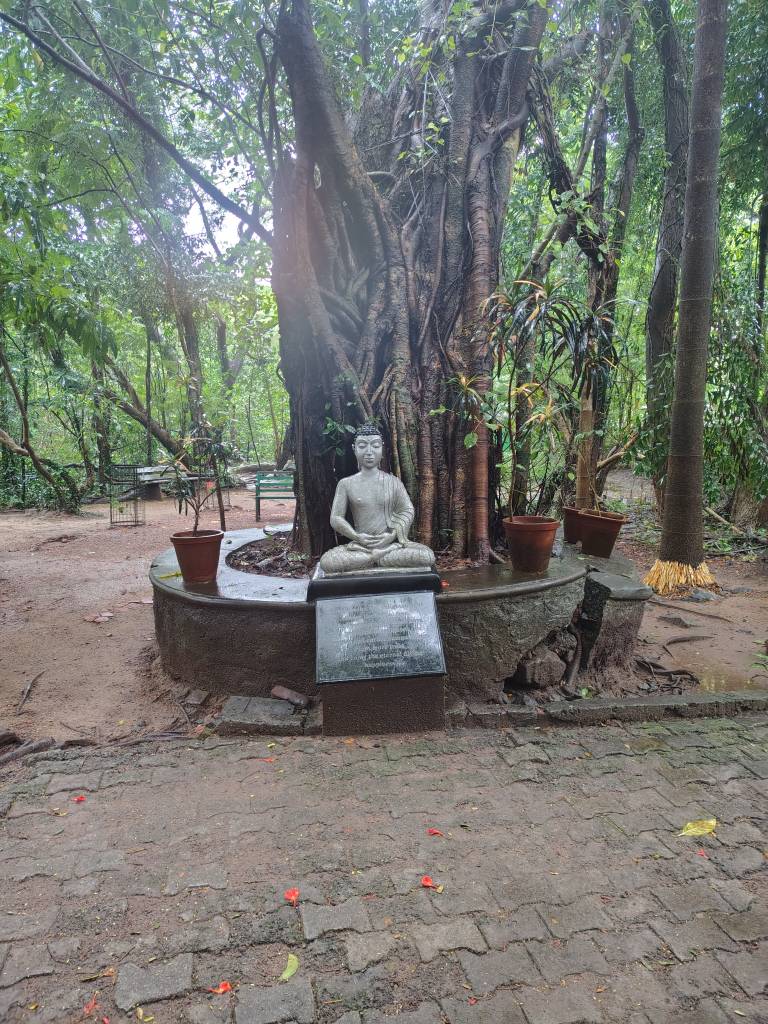 IMG_20250716_143618718_HDR