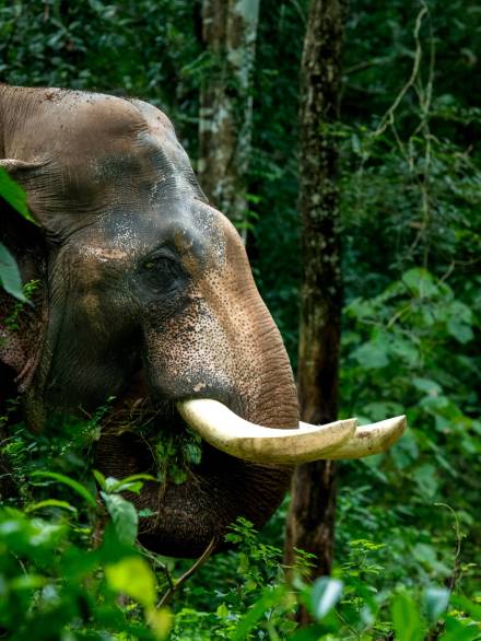 3894f24dbbf5e0072fd742c7d42c600a83015d52